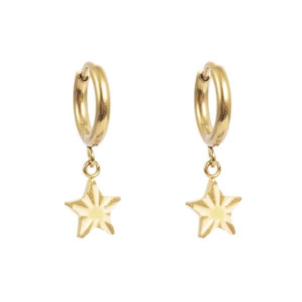 Hovedbilde Små øreringer m/ stjerne gull